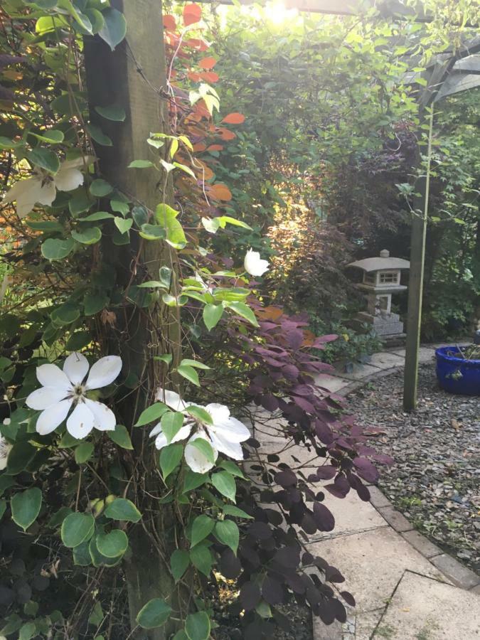 The Lavender Room Saundersfoot Exterior photo